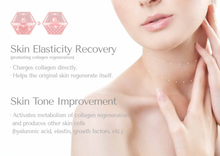 Load image into Gallery viewer, RACV Plus Collagen Filler - 1ml x 1